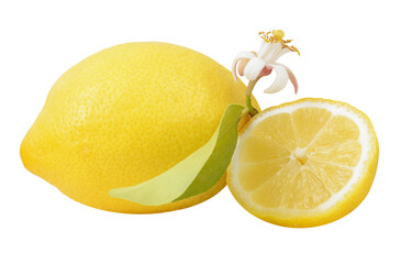 One and a half lemons with a flower, isolated