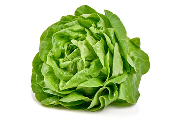 Obraz premium Fresh Green Butterhead Lettuce Isolated on White Background.