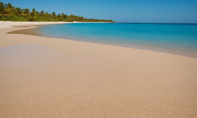 바닷가 모래사장과 아름다운 풍경 파도