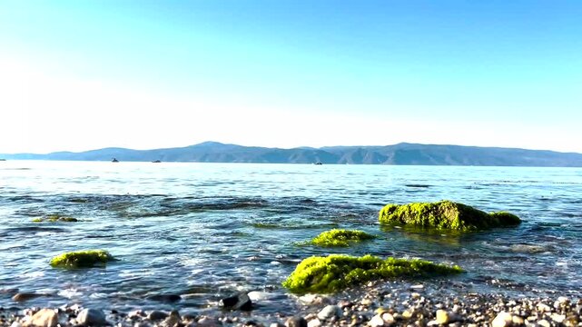 Close up of beautiful pebbly and mossy beach