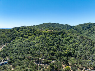 Obraz premium Aerial photos of a forested hillside in San Rafael, California, highlighting dense tree coverage, winding roads, and panoramic views of surrounding hills, residential properties, and the San Pablo Bay