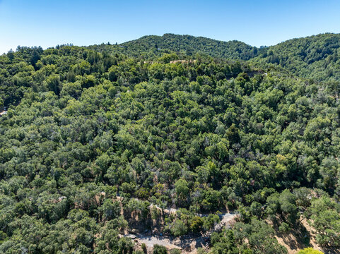 Aerial photos of a forested hillside in San Rafael, California, highlighting dense tree coverage, winding roads, and panoramic views of surrounding hills, residential properties, and the San Pablo Bay