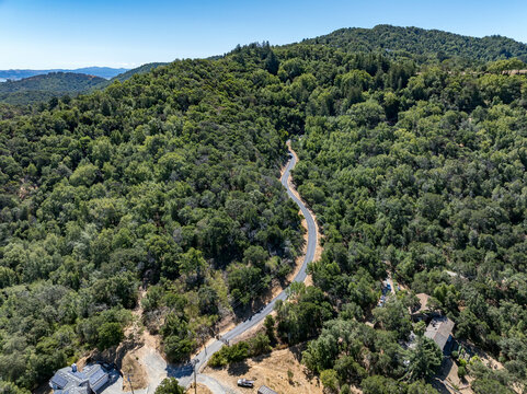 Aerial photos of a forested hillside in San Rafael, California, highlighting dense tree coverage, winding roads, and panoramic views of surrounding hills, residential properties, and the San Pablo Bay