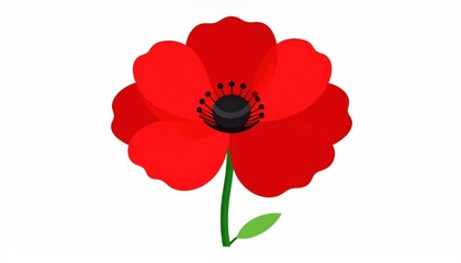 Red Poppy Flower Illustration