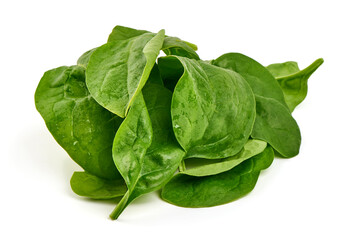 Fresh Spinach Leaves Isolated on White Background