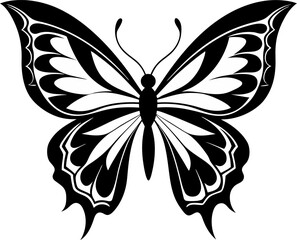black and white butterfly