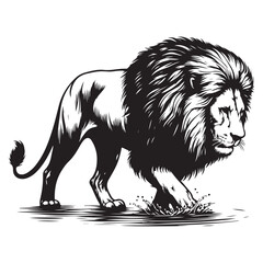 Obraz premium Lion walking in water vector image
