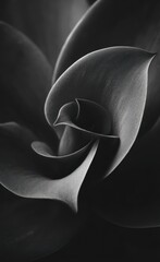 Intricate patterns of overlapping plant leaves.