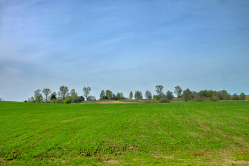 The East European Plain (Russian Plain), Central Russia (the middle strip of Russia) with burst...