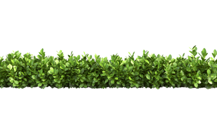 Professional Row in Isolated Setting Isolated on Transparent Background for Creative Projects