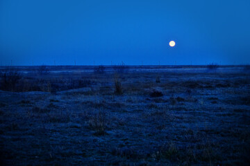 Astronomy. A rare phenomenon of the morning full-orbed moon setting covered by a light mist, swamp...