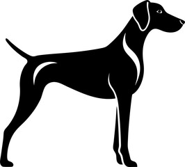 black dog isolated on white