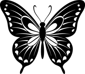 butterfly on white background