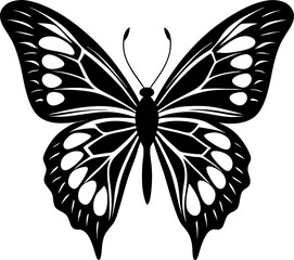 black butterfly on white background