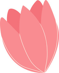 Pink Tulip Flower Illustration 