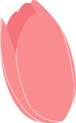 Pink Tulip Flower Illustration 