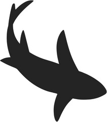 Obraz premium shark shadow