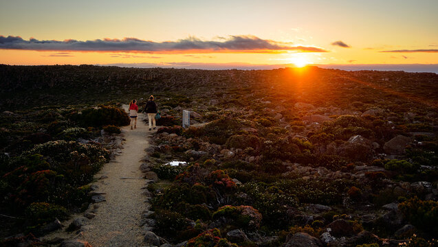 People on a Hiking Track on Mt Wellington