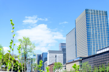 日比谷公園から望む帝国劇場方面のビル群と晴天の都市風景［東京都］