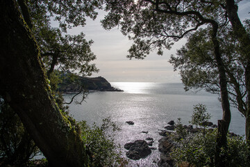 Coastal view at Fowey, Cornwall, with sunlit sea framed by trees and rugged rocks in the foreground.