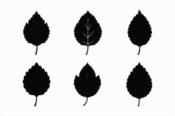 set of mulberry leaf silhouette vector illustration