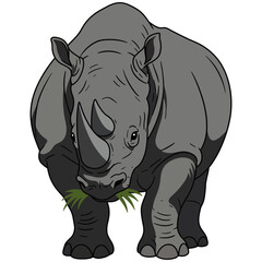 Vector illustration of a rhinoceros eating grass, shown from the front with detailed horns and thick skin texture, conveying strength and wildlife character.