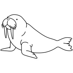 Detailed black and white line drawing of a walrus in a relaxed sitting pose, featuring prominent tusks, whiskers, and flippers, ideal for wildlife education or marine-themed designs.