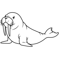 Detailed black and white line drawing of a walrus in a relaxed sitting pose, featuring prominent tusks, whiskers, and flippers, ideal for wildlife education or marine-themed designs.