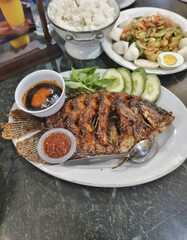 Grilled fish served on a white plate, accompanied by cucumber slices and fresh herbs