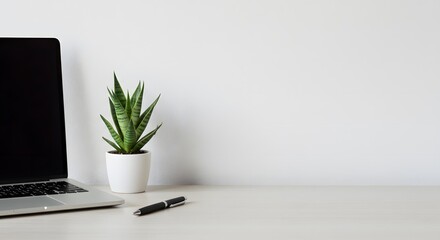 Modern Minimalist Workspace Laptop, Succulent Plant, and Pen on White Desk