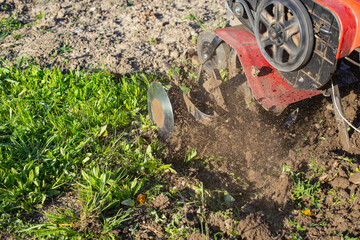 Garden tiller for cultivating field, loosens soil. Handheld motor plow throwing dirt with motion...