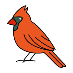 Colorful Bird Vector Illustration