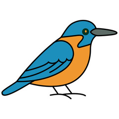 Colorful Bird Vector Illustration