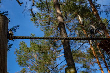 Tensioned steel wire on a forest adventure obstacle course, with defocused trees, abstract backdrop