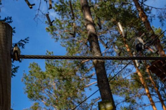 Tensioned steel wire on a forest adventure obstacle course, with defocused trees, abstract backdrop