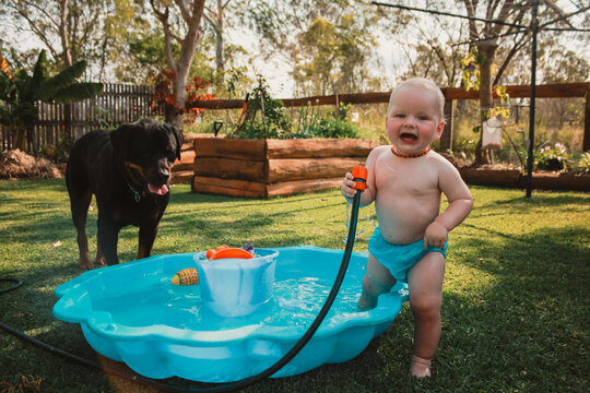 Baby boy playing in backyard shell pool with pet rottweiler dog