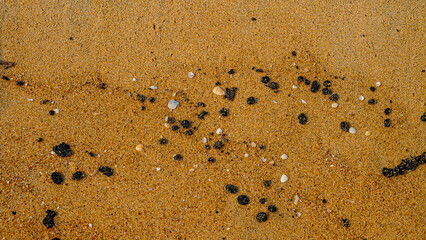 Oil pollution of sea and coast. Floating clot of fuel oil bring toxin to other parts of sea, secondary pollution. Sandy beach attacked by fuel. South China Sea