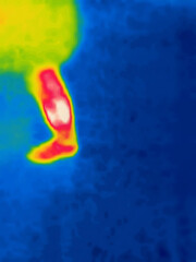 Walking feet. Modified image from thermal imager device.