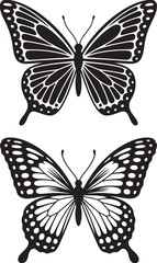 Obraz premium Detailed Butterfly Silhouette Sets - Black And White Vector