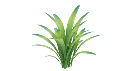 Isolated Green Grass Plant