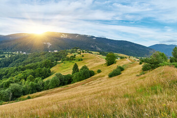 Rolling Hills Mountain Village Landscape
