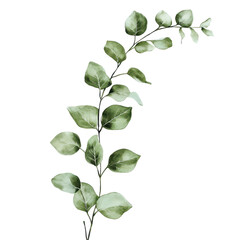 Obraz premium Green leaf branch, Fresh green leaves branch macro, isolated on transparent background