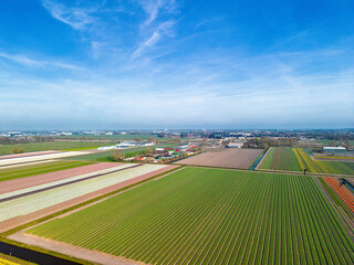 Aerial panoramic view of the Dutch countryside featuring farmland, green fields, forests, and a...