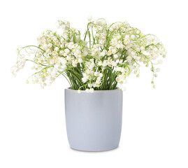 Bouquet of beautiful lily of the valley flowers isolated on white
