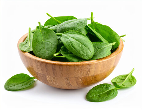 a bowl of fresh spinach isolated on a white background