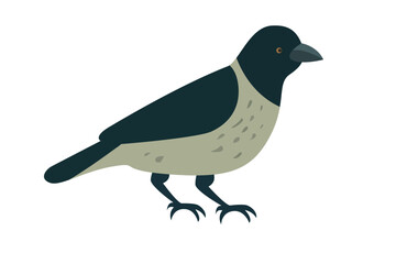 A stylized bird illustration featuring dark and light feather patterns, suitable for various media uses.