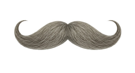 Isolated Grey Mustache