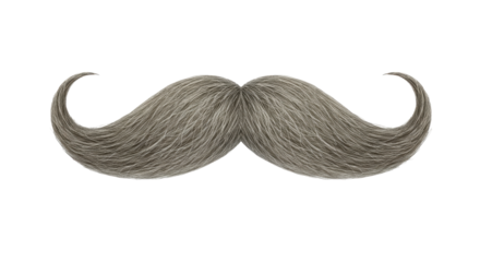 Isolated Grey Mustache
