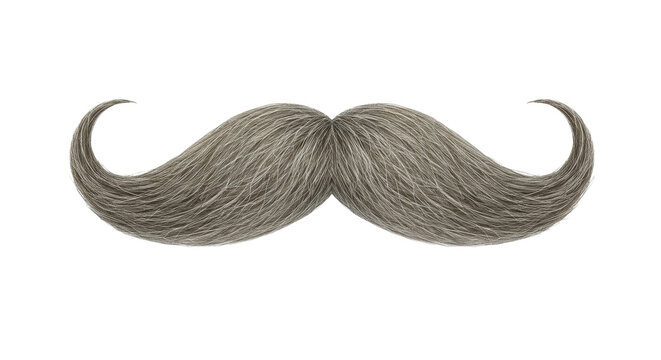 Isolated Grey Mustache