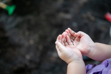A child holds small seeds gently in both hands, ready for planting. This close-up captures the essence of early gardening, growth, and the nurturing start of sustainable living.